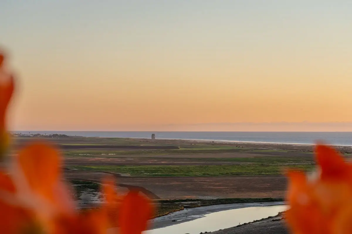 La Terraza Río y Mar - Conil de la Frontera - 108